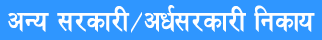 Section Officer